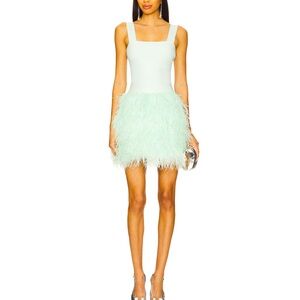 Alice + Olivia Revolve Feather Skirt